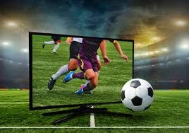 综合体育体育文化专题 竞技精神与历史传承